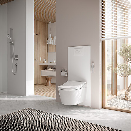 WASHLET RW mit Schmüserplatte